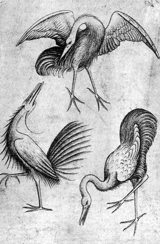 «Три птахи», друкована графіка, 15-е ст. Німеччина